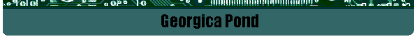 Georgica Pond