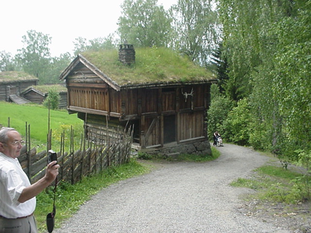 Stabor with grass roof