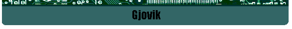 Gjovik